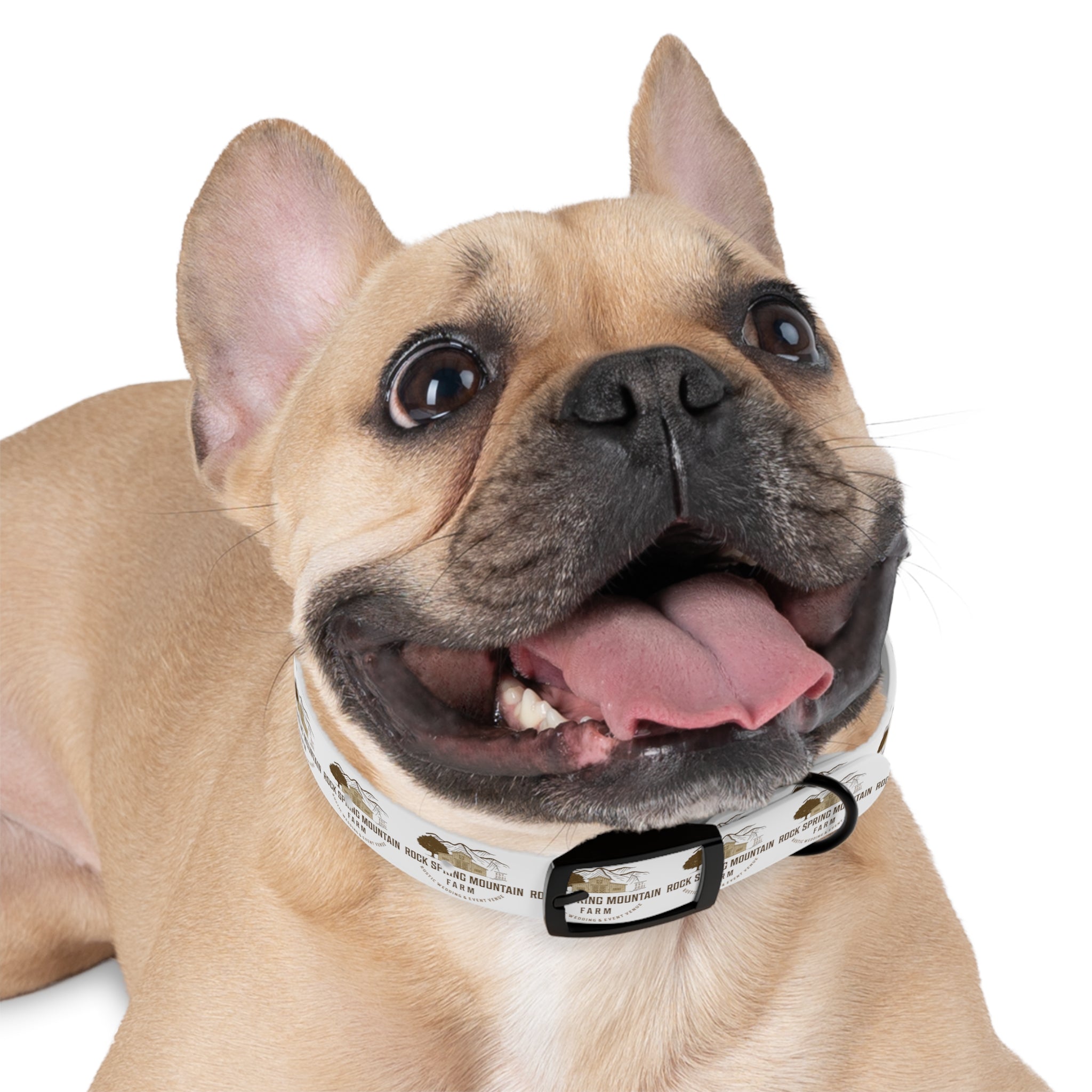 Dog Collar w/ Rock Spring Mountain Farm Logo